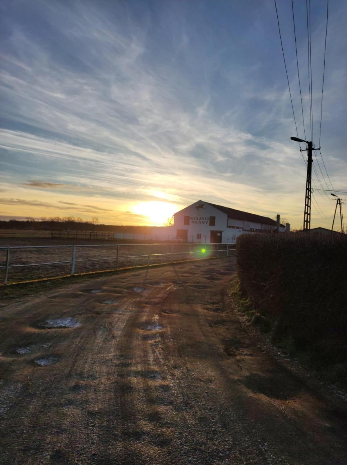 Noclegi Przy Stajni Senny - Horse Riding Leba Exterior photo